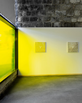 Bad Posture Art Space
