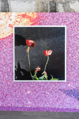 Bad Posture Art Space